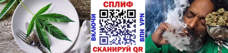 купить наркотики сайты  Пятигорск  Cannafood марихуана 