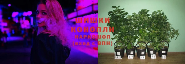 a pvp Михайлов