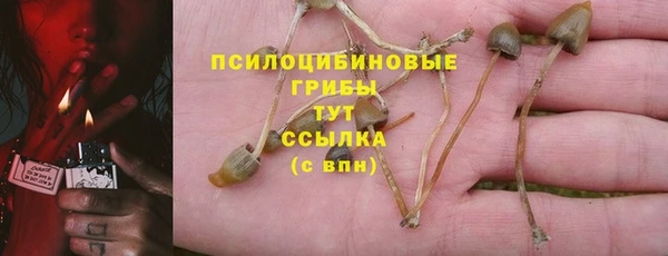 бошки Тында