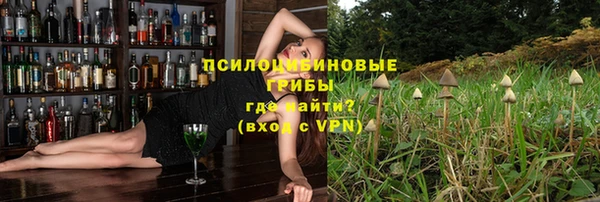 крисы Навашино