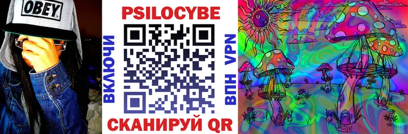 Галлюциногенные грибы Cubensis  Пятигорск 